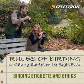 The Rules of Birding, or Getting Started on the Right Foot: Birding Etiquette and Ethics