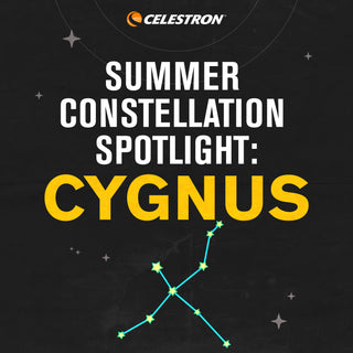 Summer Constellation Spotlight: Cygnus