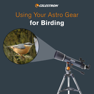 Using Your Astro Gear for Birding