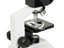 Celestron Labs CB2000C Compound Microscope