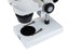 Celestron Labs S1030N Stereo Microscope