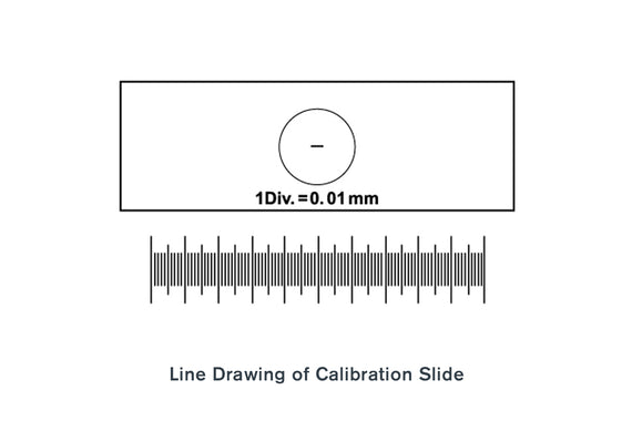 Microscope Calibration Slide