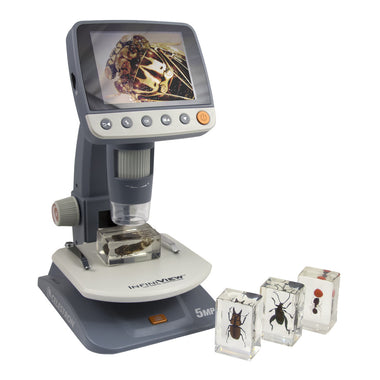 3D Bug Specimen Kit #3