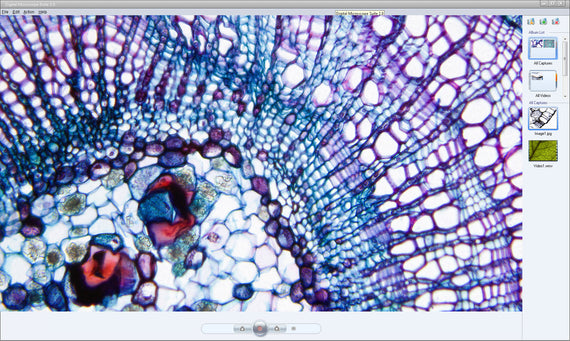 Digital Microscope Imager