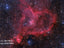 11" Rowe-Ackermann Schmidt Astrograph (RASA 11) Optical Tube Assembly (CGE Dovetail)