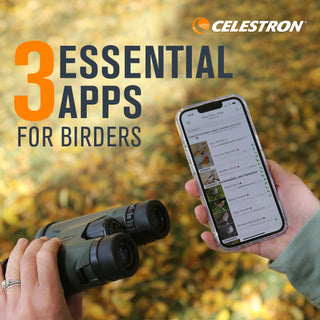 Three Essential Apps for Birders