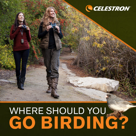 Where Should You Go Birding?