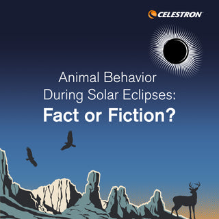 Animal Behavior During Solar Eclipses: Fact or Fiction?