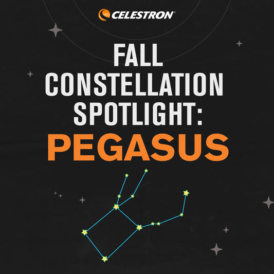 Fall Constellation Spotlight: Pegasus