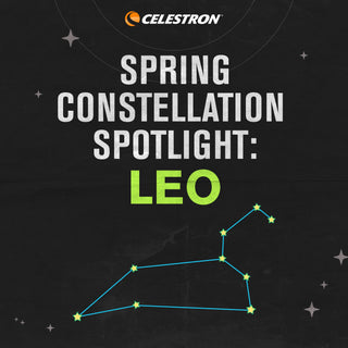 Spring Constellation Spotlight: Leo