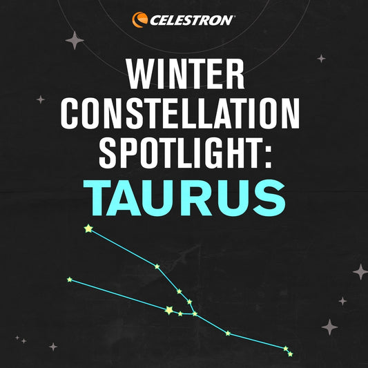 Winter Constellations Spotlight: Taurus
