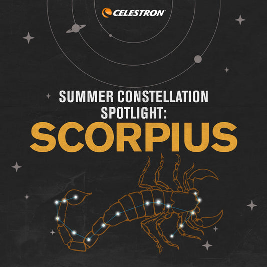 Summer Constellation Spotlight: Scorpius