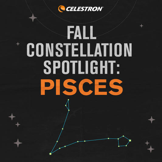 Fall Constellation Spotlight: Pisces – The Fishes