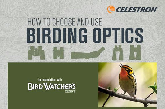 How to Choose and Use Birding Optics