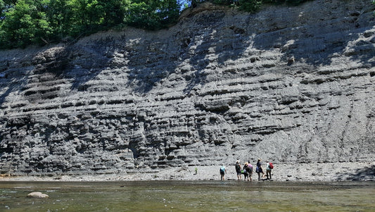 How do you fish with a microscope?