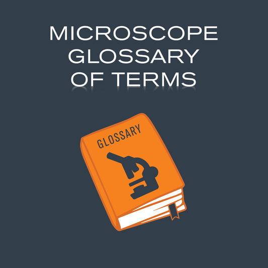 Microscope Glossary of Terms