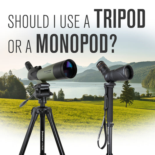 Should I use a tripod or a monopod?