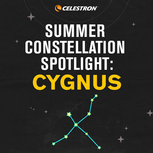 Summer Constellation Spotlight: Cygnus