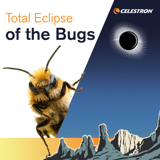 Total Eclipse of the Bugs