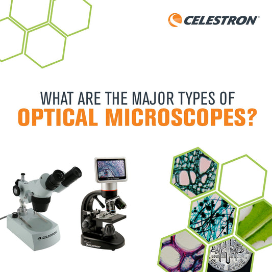 What are the major types of optical microscopes?