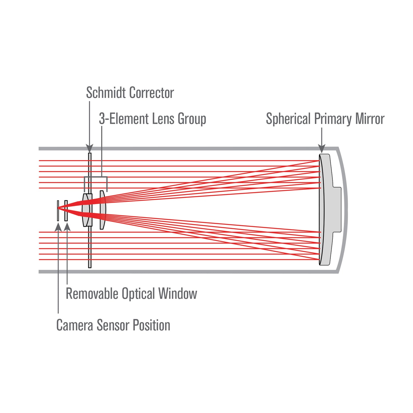 Advanced VX 6" Rowe-Ackermann Schmidt Astrograph (RASA) Telescope