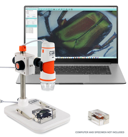 Celestron Labs Digital 5MP Handheld Microscope