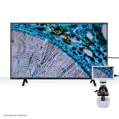 Celestron Labs Digital 7" LCD Desktop Microscope