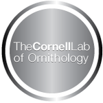 Cornell Lab of Ornithology Award 2013!