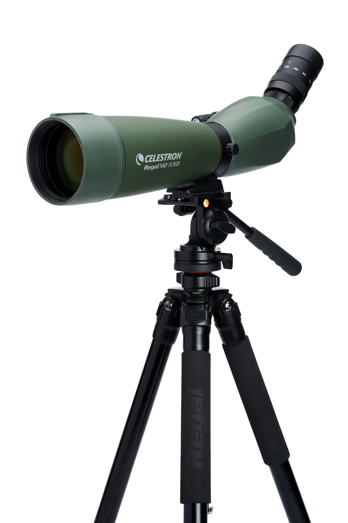 Regal M2 20-60x80mm ED Angled Zoom Spotting Scope