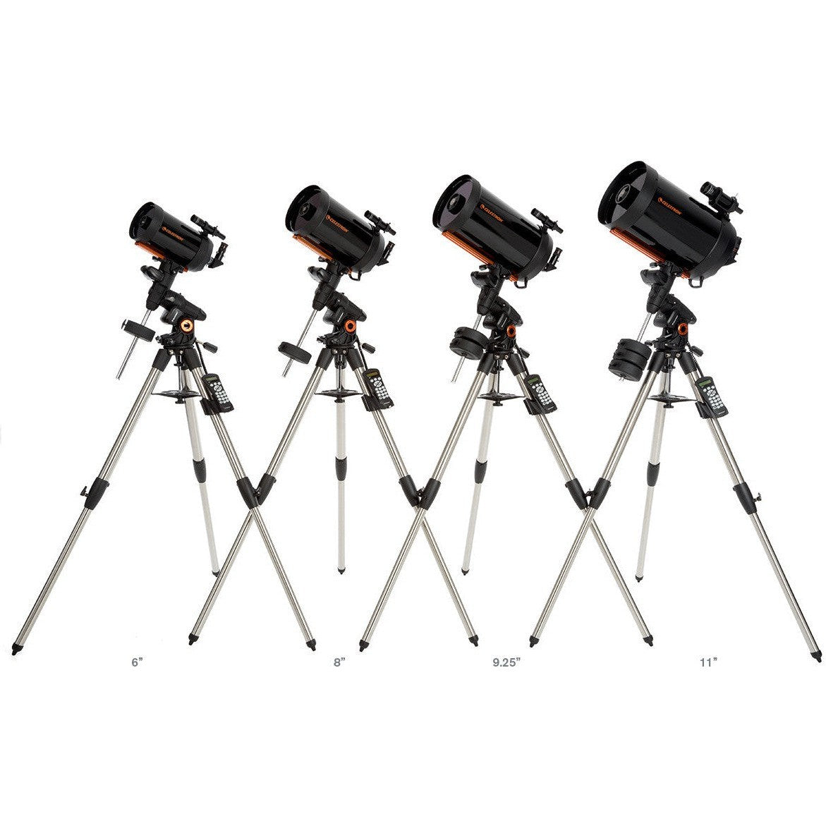Advanced VX (AVX) 6