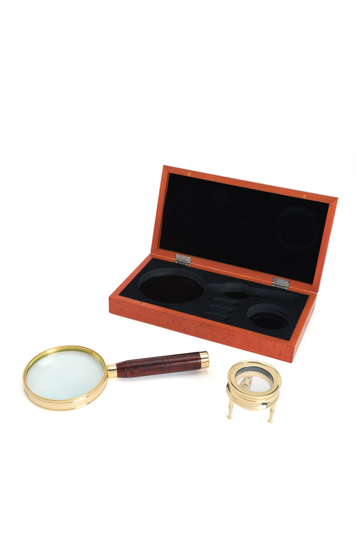 Ambassador Magnifier Set | Celestron