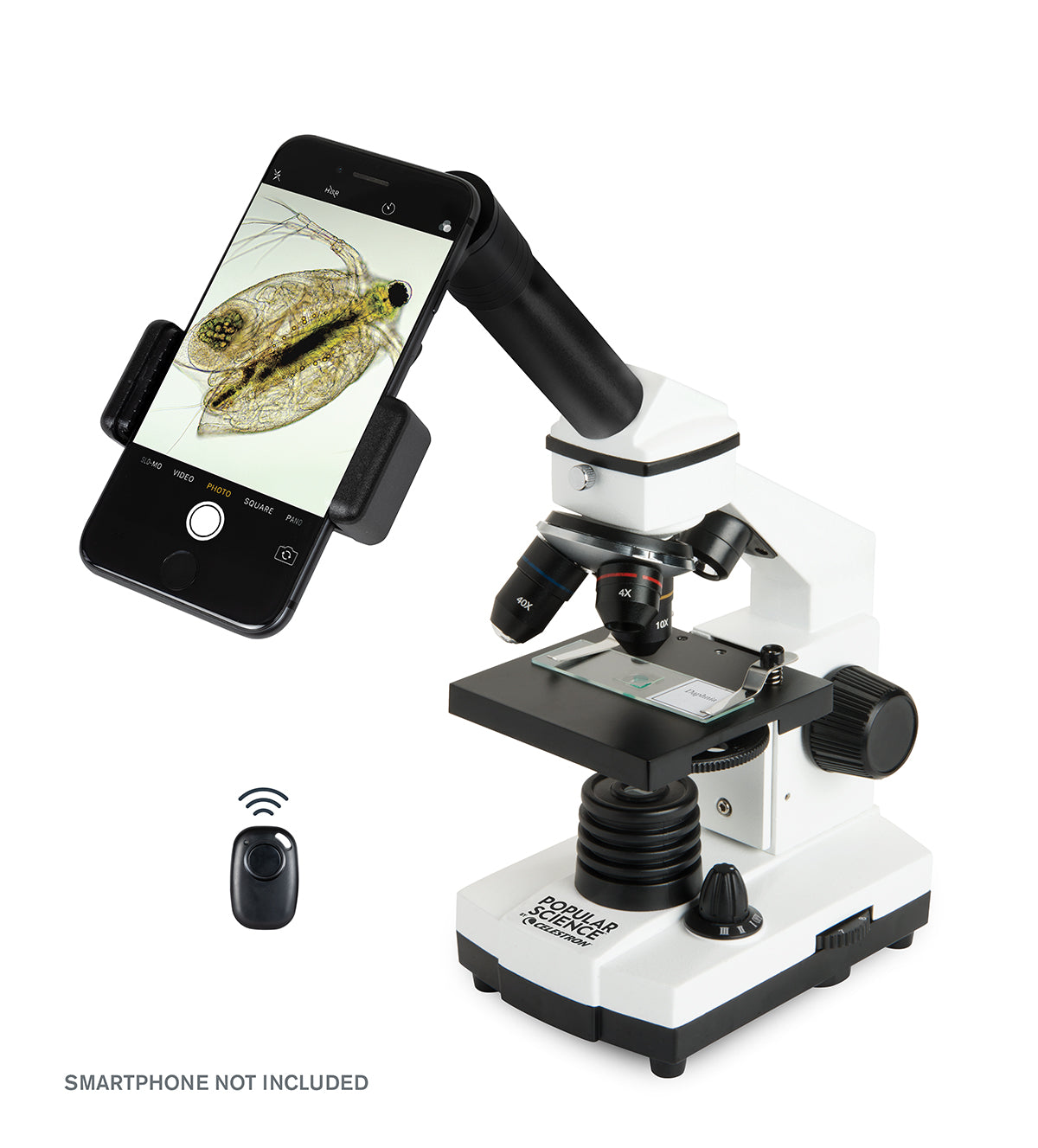 Compound Microscope Images