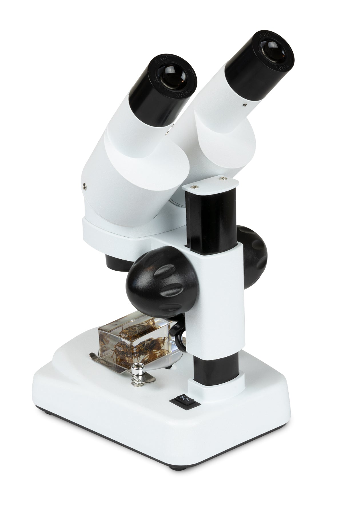 Angled Microscope Celestron Labs S20 Angled Stereo Microscope | Celestron