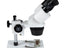 Celestron Labs S1030N Stereo Microscope