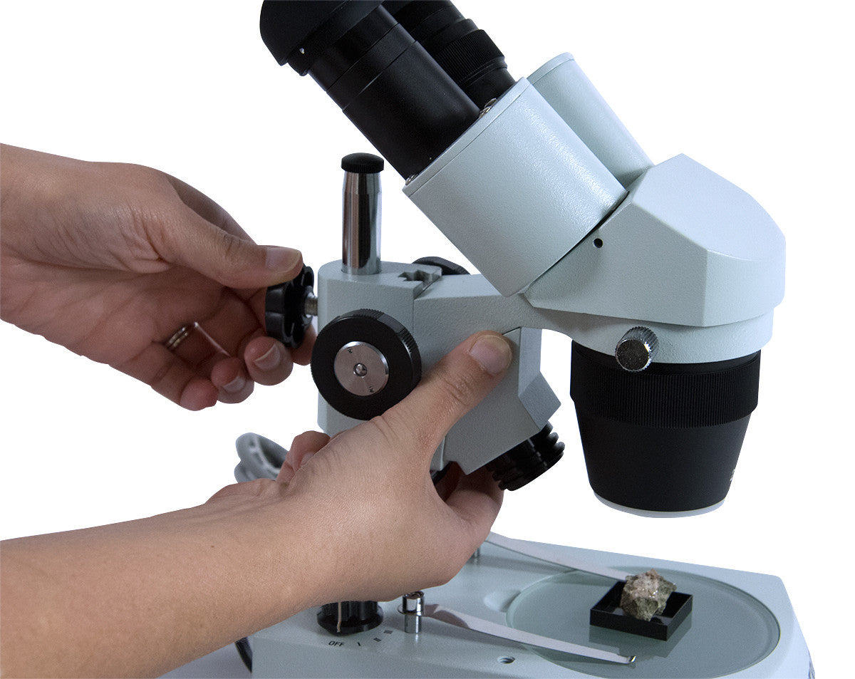 Advanced Stereo Microscope | Celestron
