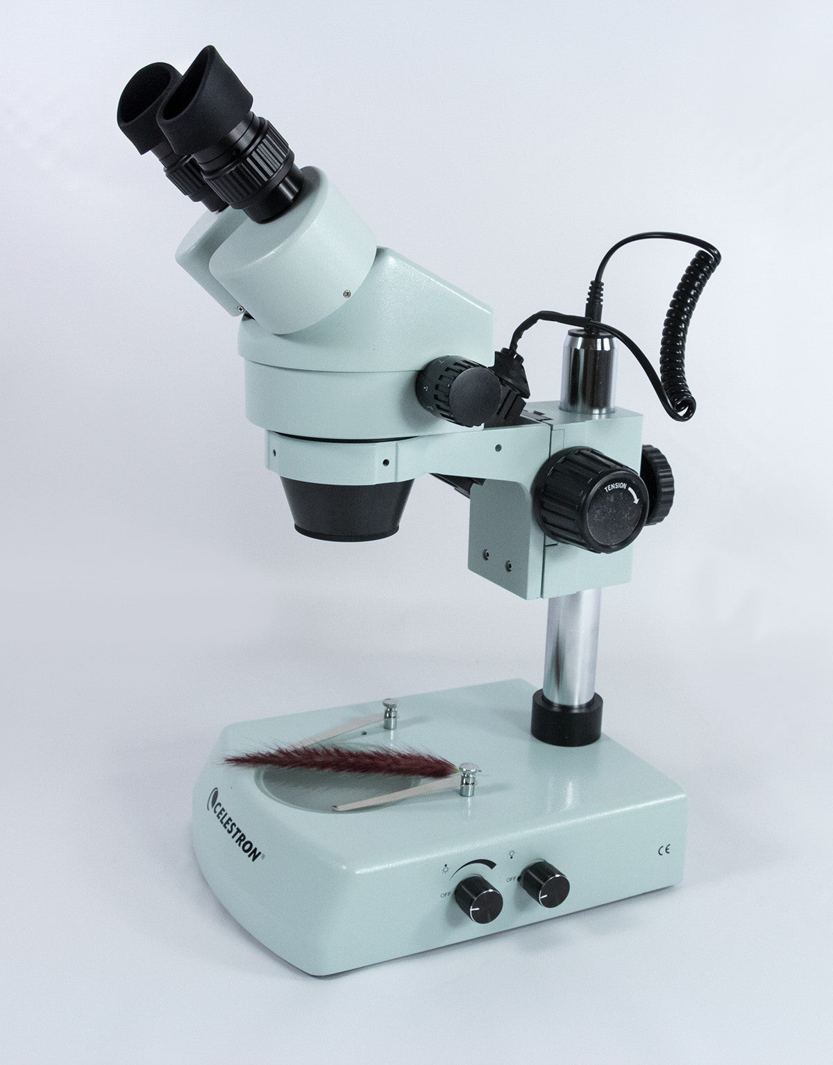 Professional Stereo Zoom Microscope | Celestron