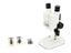 Celestron Labs S20 Stereo Microscope