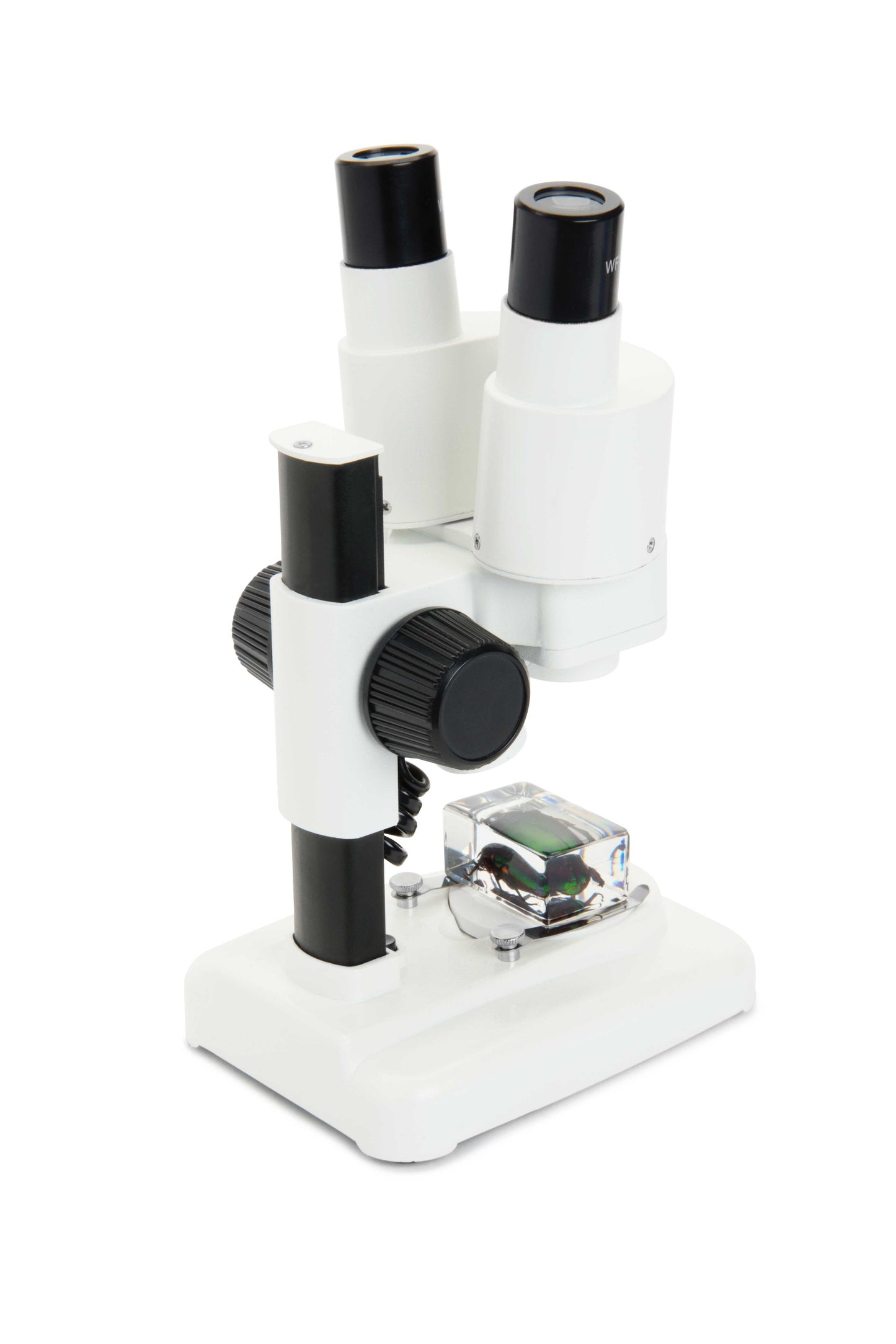 Celestron Labs S20 Stereo Microscope