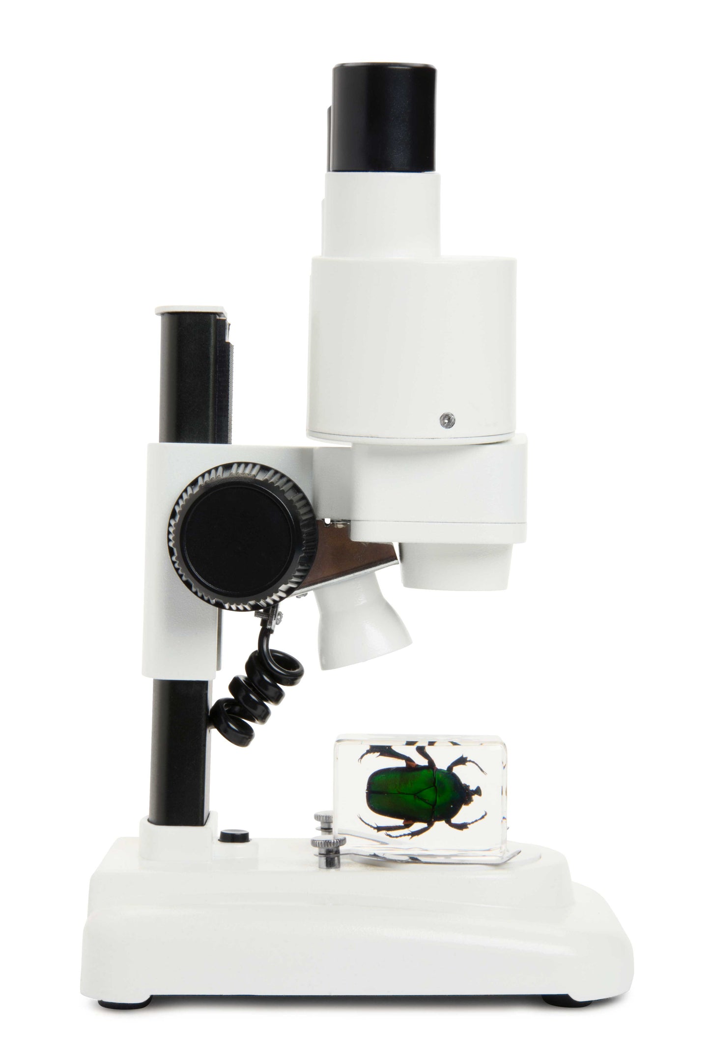 Celestron Labs S20 Stereo Microscope