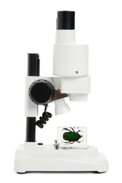 Celestron Labs S20 Stereo Microscope