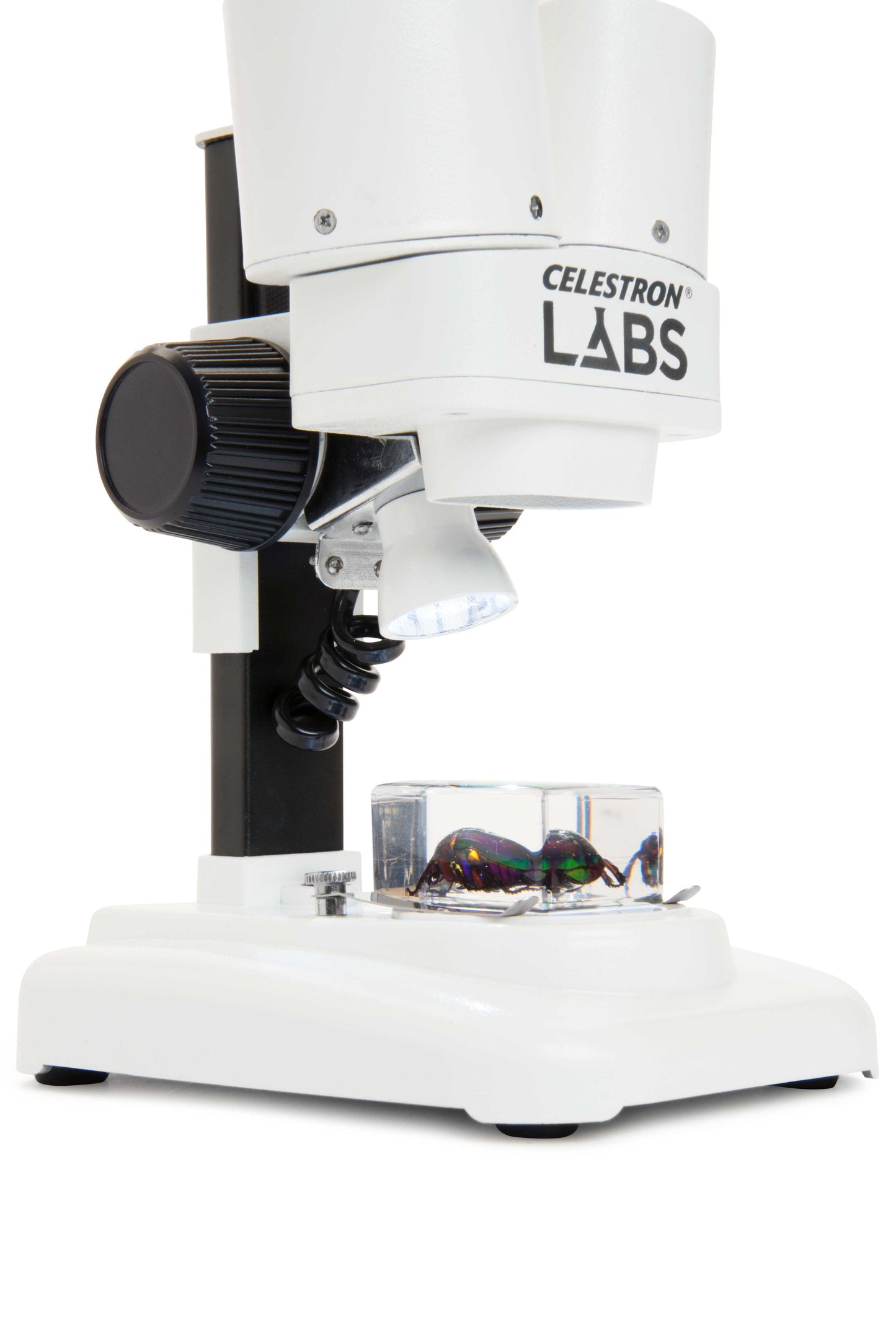 Celestron Labs S20 Stereo Microscope