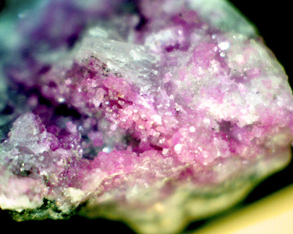 Mini Handheld Digital Microscope