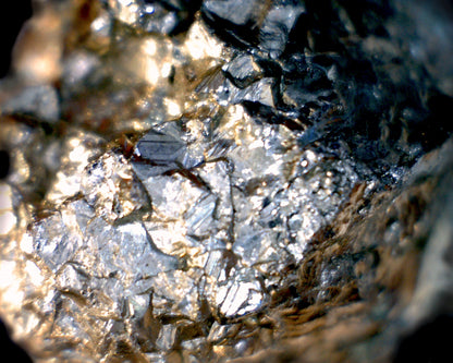 Mini Handheld Digital Microscope