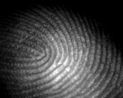 Mini Handheld Digital Microscope