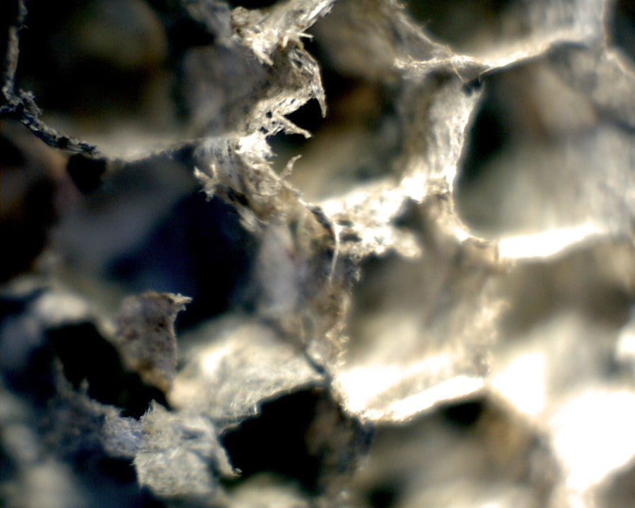 Mini Handheld Digital Microscope