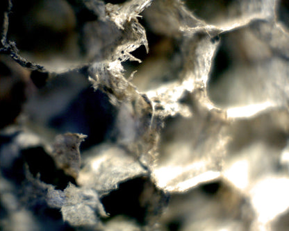 Mini Handheld Digital Microscope