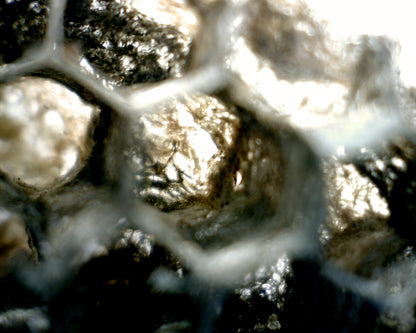 Mini Handheld Digital Microscope