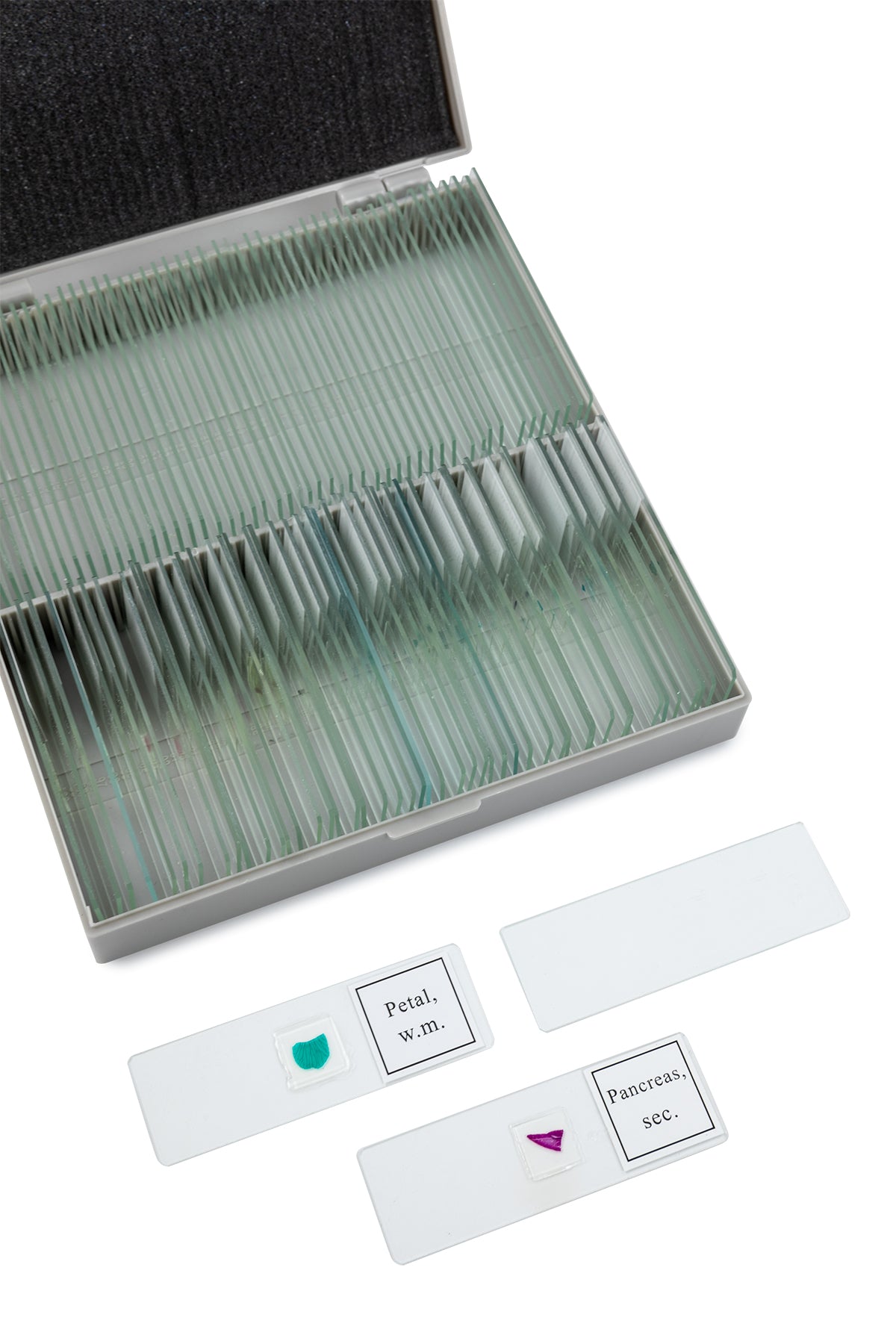 TetraView LCD Digital Microscope with 100 Slide Kit