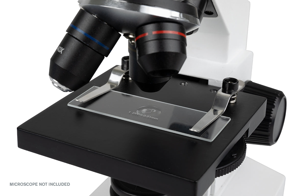 Microscope Calibration Slide