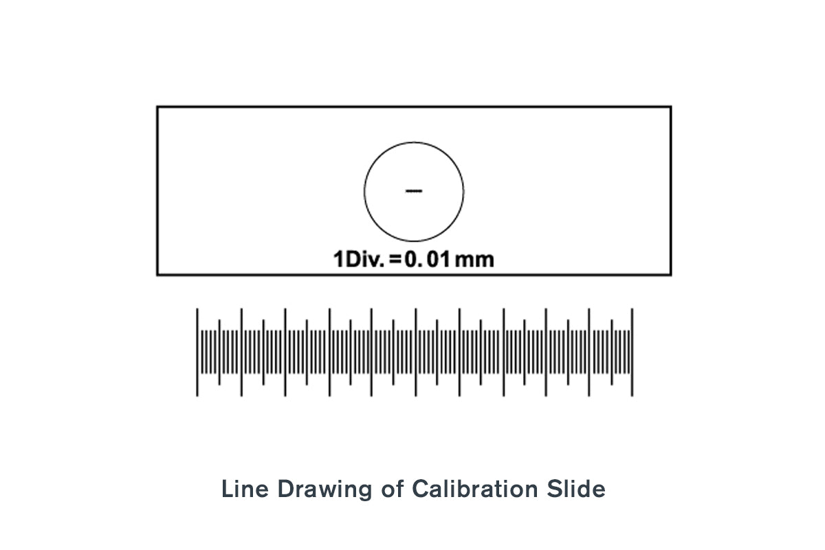Microscope Calibration Slide | Celestron